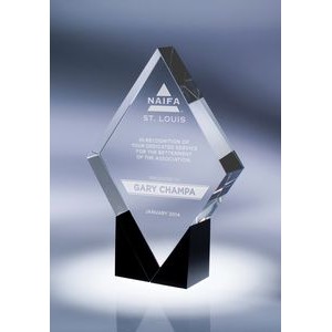 Paradigm Crystal Award
