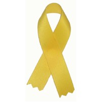 Blank Hope/ Support Our Troops Awareness Ribbon w/Tape (3 1/2")