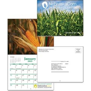 Direct Mail Collection Calendar (11" x 17")