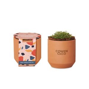 Modern Sprout® Tiny Terracotta Grow Kit Champagne Poppies - Terracotta