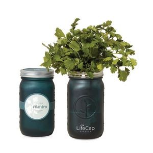 Modern Sprout® Indoor Herb Garden Kit - Emerald