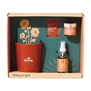 Modern Sprout® Shine Bright Take Care Kit - Sunflower - Shine Bright Sunflower