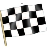 Checkered Medium Hand Flag w/24" Dowel