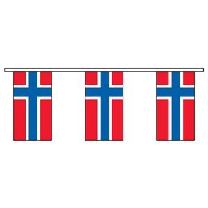 60' Norway International Collection Display Flag