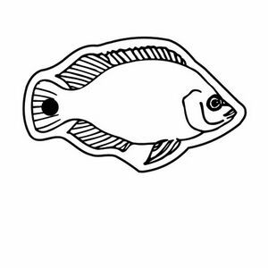 Fish 9 Key Tag (Spot Color)