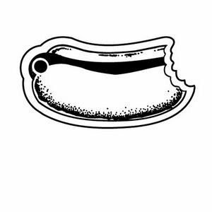 Hot Dog w/Bite Taken Key Tag - Spot Color