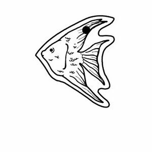 Fish 3 Key Tag (Spot Color)