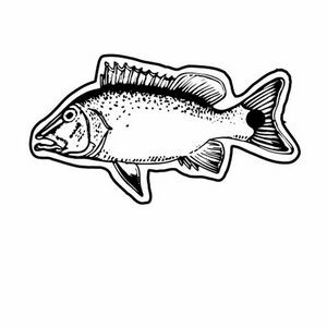 Fish 3 Key Tag (Spot Color)