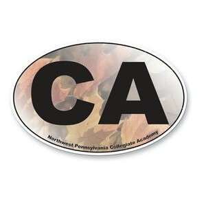 30 Mil Small Oval Car Magnet - Full Color