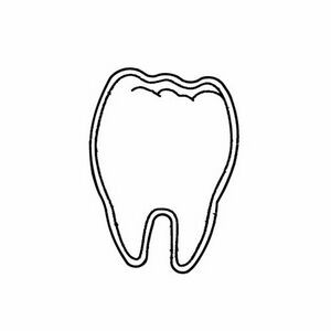 Tooth Magnet - Full Color