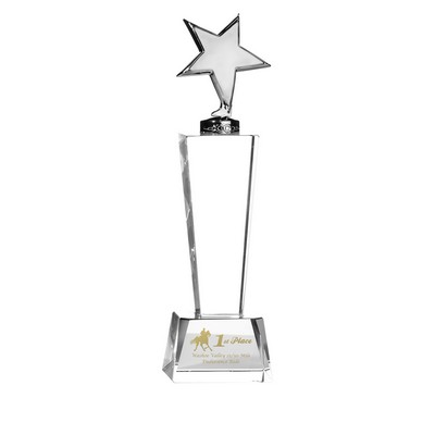 Trophy Award - Silver Metal Star mounted on Crystal Stand