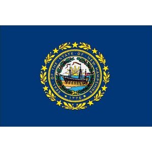 New Hampshire Spectrapro™ Polyester State Flag (3'X5')