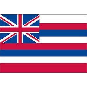 Hawaii Spectrapro™ Polyester State Flag (5'X8')