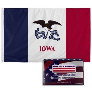 Iowa Spectramax™ Nylon State Flag (3'X5')