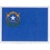Nevada Spectrapro™ Polyester State Flag (5'X8')