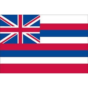 Hawaii Spectrapro™ Polyester State Flag (3'X5')