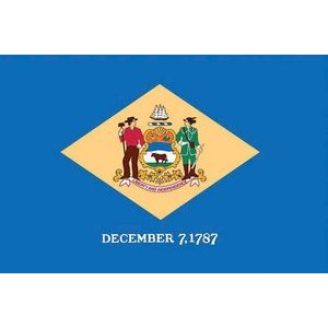 Delaware Spectramax™ Nylon State Flag (8'X12')