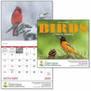 Good Value Birds of North America Stapled Calendar