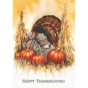 Thanksgiving Turkey & Pumpkin Holiday Greeting Card (5"x7")