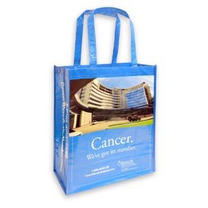 Laminated PET Shopping Bag (13"x6"x16")