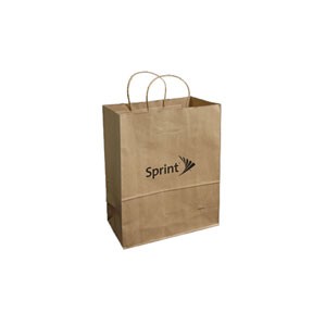 Natural Kraft Custom Paper Shopping Bag (10