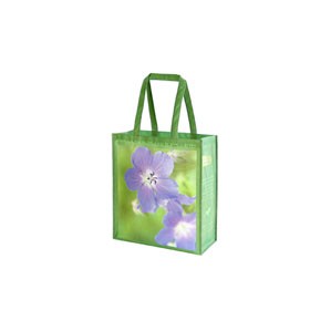 Laminated Non-Woven Polypropylene Shopping Bag (10