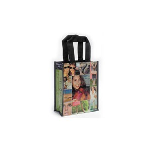 Laminated PET Shopping Bag (10"x5"x13")
