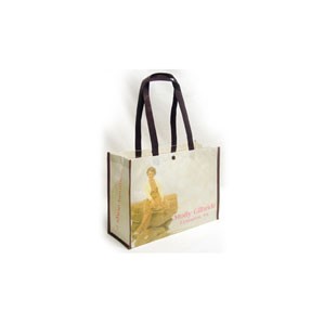 Laminated PET Shopping Bag (16"x6"x12")
