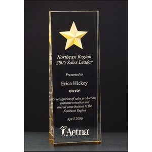 Constellation Series Etched Star Award