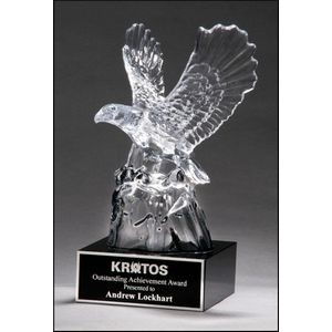 Crystal Eagle Award (4.5"x9.5")