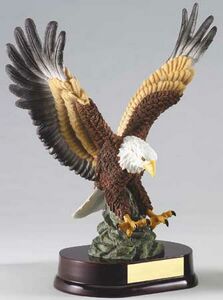  Landing Eagle Award