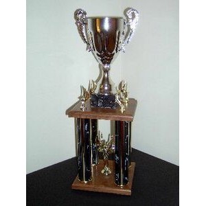 Custom Trophies Award