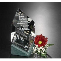 Vicksburg Award 6-1/2"
