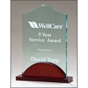 Tidal Series Award (7"w)