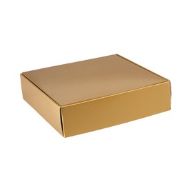 Gold Gloss Corrugated Mailer Box (12"x9"x3")