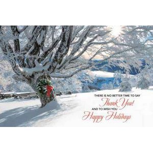 Striking Gratitude Holiday Postcards
