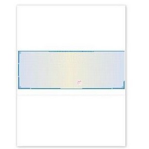 High Security Blank Laser Middle Format Check (1 Part)