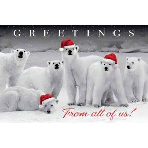 Polar Pack Holiday Postcards