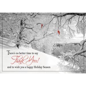 Glorious Thanks Holiday Cards