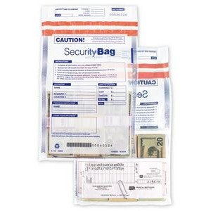 Clear Dual-Pocket Security Bag