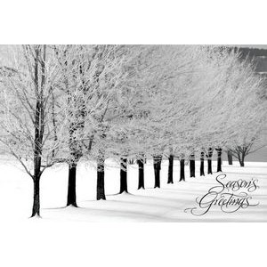 Snowy Arbor Avenue Holiday Postcards