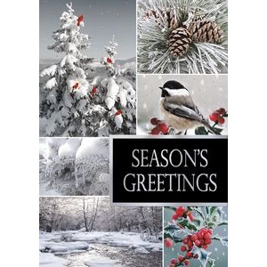 Winterland Holiday Cards