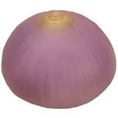 Purple Onion Stress Reliever