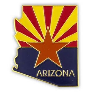 Arizona State Pin