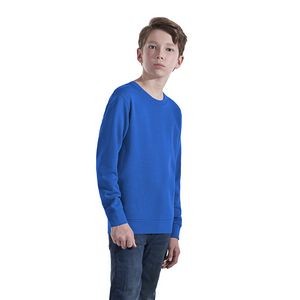 Youth Crewneck Pullover Sweatshirt