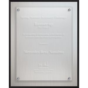 Econo Series Frosted Aluminum Plaque (8