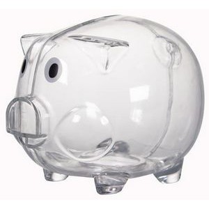 Clear Plastic Piggy Bank