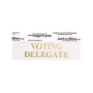 Voting Delegate Stk A Rbn Silver Ribbon Gold Imprint