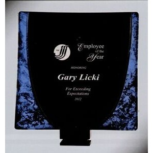 Curved Glass Plate Award (8