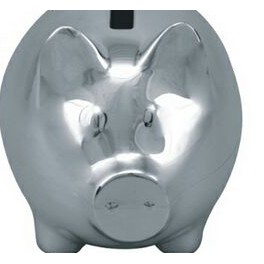 Color Of Money Piggy Bank©
